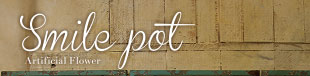 Smile Pot